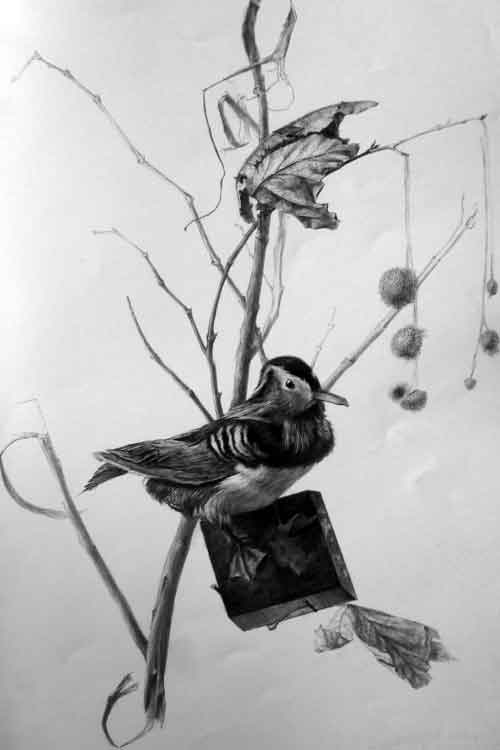 超写实素描静物作品3