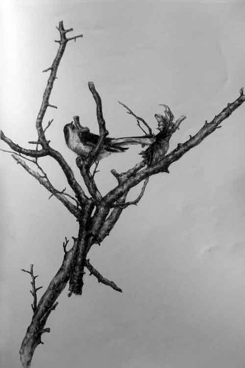 超写实素描静物作品8