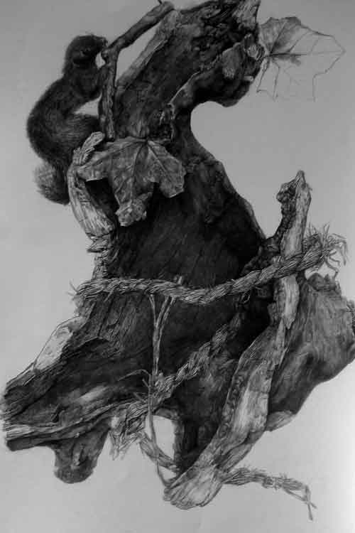 超写实素描静物作品9