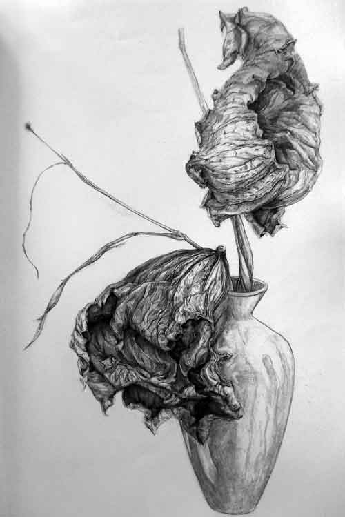 超写实素描静物作品10