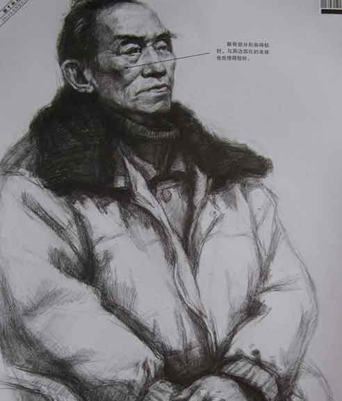 比例协调，结构关系较为合理。