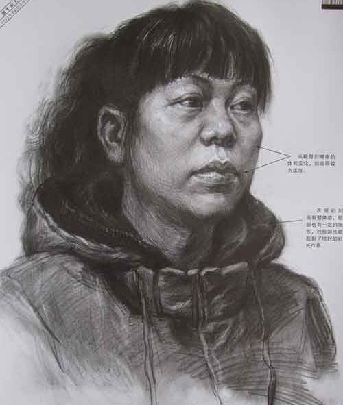 有不少详细的刻画，用笔简练不潦草，灰度组织得较好。头部的结构特征把握的比较清晰