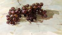 葡萄色彩静物画法的专题讲解(艺考公开课)