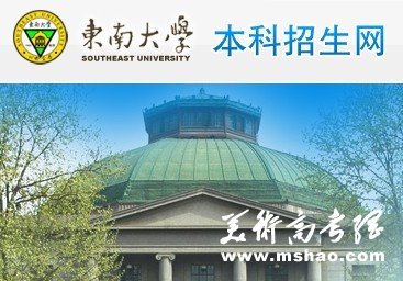 2011年东南大学艺术类高考录取查询