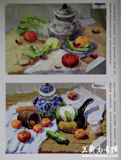 上海视觉艺术学院历年色彩静物优秀试卷