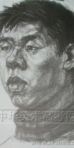  天津美院高考优秀素描试 