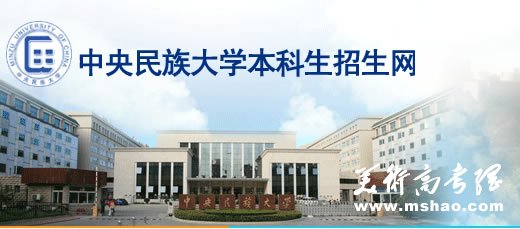 中央民族大学2010音乐类专业成绩查询
