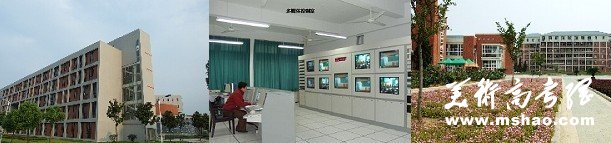 2010年淮南师范学院艺术类专业成绩查询