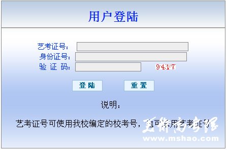 西南石油大学2010年艺术类专业成绩查询