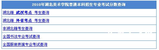 湖北美术学院2010年艺术类专业成绩查询