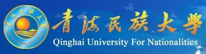 青海民族大学2010年艺术类高考录取查询
