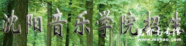 2011年沈阳音乐学院艺术类专业成绩查询