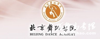 2011年北京舞蹈学院艺术类高考录取查询
