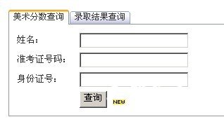 2011年湖北大学艺术类成绩查询