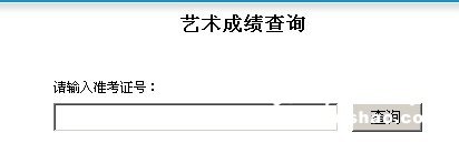 2011年新乡学院艺术类专业成绩查询