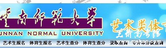 2011年云南师范大学艺术类高考录取查询