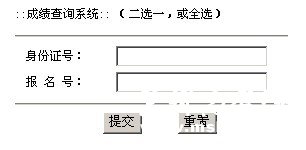 2011年平顶山学院艺术类专业成绩查询