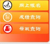 2011年武汉体育学院艺术类高考录取查询