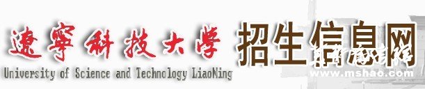 辽宁科技大学2011艺术高考录取查询