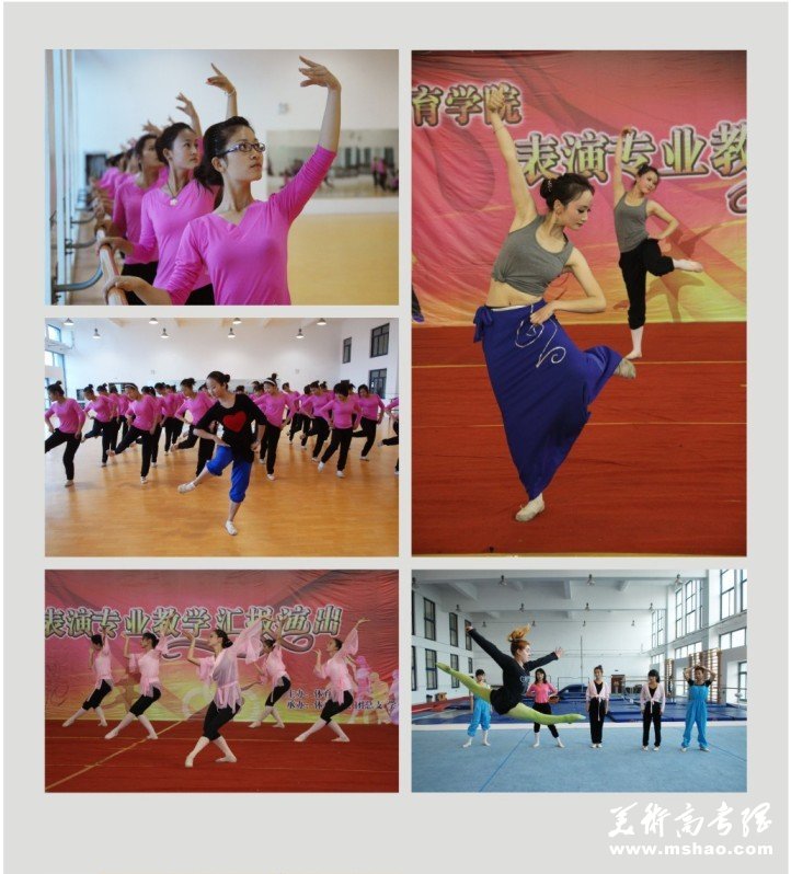 2013年阜阳师范学院艺术类专业招生简章